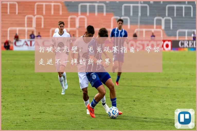 打破次元壁，电竞观赛指南，带你走进不一样的新世界！